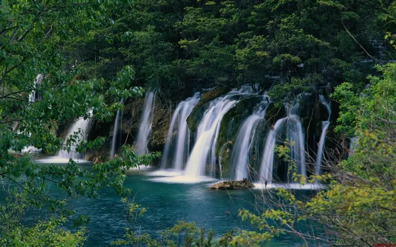 信息化网络化稳定性
